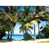 AG Design FTNXXL 0384 Photo Wall Mural, Multicolore, 360 x 270
