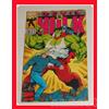 DEVIL e HULK 18 MARVEL 1995