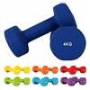 effea PESI PALESTRA PESETTI MANUBRIO MANUBRI 2 3 4 KG FITNESS BILANCIERE ESERCIZI PESO