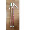 Rossignol Coppia bastoncini Sci FUN GIRL, Bambina - Art. RDE6000