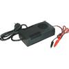 ALCAPOWER / EXTRACELL / JOIN CARICA BATTERIE 24V 3A SWITCHING UNIVERALE PIOMBO BICICLETTA MONOPATTINO AP24V3
