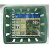 Lux-Tools 3 Vaschette Vaschetta verde per Bulbi Lux Tools 23,5x21x7 cm piantare fiori