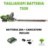 Verdemax TAGLIASIEPE A BATTERIA 20V VERDEMAX TS20 TAGLIO 20mm+ BATTERIA 2 Ah e CARICATORE