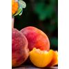 eGarden.store Pianta di Pesco o Pesca Albero da frutto Mix varietà albero da vaso albero vero