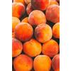 eGarden.store Pianta di Percoco albero di Percoca albero di Percocca da frutto pianta vera