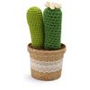 Amigurumi uncinetto crochet pianta grassa cactus ricamato e vaso fiore F14