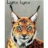 QUADRO CANOVACCIO MEZZO PUNTO PICCOLO DA RICAMARE 24 x 30 " LINCE "