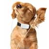 each italy COLLARE GPS per Cane Gatto Antifurto Allarme Gps Locator Localizzatore Satellita