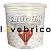 Cad Guaina Liquida Ad Alta Riflettanza Per Impermeabilizzazioni Cad Gum 5 Kg Bianco