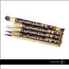 LE CRAYON A ANDRE KIT PULIZIA MONETE 5 MATITE SPAZZOLA SCALPELLO RESTAURO METAL DETECTOR