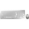 Cherry Dw 8000 Wireless Keyboard And Mouse Argento German QWERTZ
