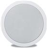 Cassa Acustica Altoparlante Diffusore Audio 6w 20cm A Incasso Soffitto Muro hsb