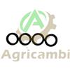 Gommini oring per pompa a scoppio a spalla spruzzatore Ferrari Irro 25 Burg Dfs