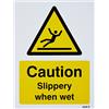 Caledonia Signs Caledonia Segni 14229E Cautela Slippery When Wet Sign, 200 mm X 150 mm, Plastica Rigida