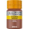 Winsor & Newton WN Acrilico Galeria 250ml Terra di Siena Bruciata