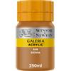 Winsor & Newton WN Acrilico Galeria 250ml Terra di Siena Naturale