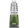 Winsor & Newton Win 1414599 Winton oil Colour, 37 ml, colore: Verde