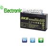 ALCAPOWER Batteria Professionale al Piombo AGM Ultracell UL12-6 6V 12Ah 12.0A Ricaricabile