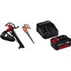 Einhell Aspiratore Per Foglie A Batteria Ge-Cl 36/230 Li-Solo Power X-Change & 4512042 Power-X-Change Starter Kit, Caricabatteria E Batteria Da 4000 Mah Li-Ion, Nero