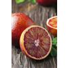 eGarden.store Pianta di Arancio Sanguinello Fitocella pianta di fruta agrume vera da esterno