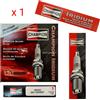 Evinrude Candela Champion Iridium QC10WEP Evinrude - 1 PZ - 5007419