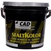 Cad Pittura grigia 14 lt per asfalto e manti bituminosi Cad AsfaltKolor