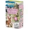 Arquivet Yogurt Drops - Snack per roditori - 65 g