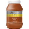 Winsor & Newton Galeria Colore Acrilico 1 L - Terra di Siena Bruciata