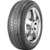 Viking WinTech ( 205/55 R16 91H EVc )