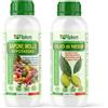 FITOKEM - Olio di Neem solubile 1L + Sapone molle di potassio 1L - KIT