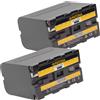 Patona 2x Batteria Patona 6600mah li-ion per Sony CCD-TR416,CCD-TR417,CCD-TR417E