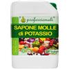 FITOKEM Sapone molle di potassio 5L Fitokem - S5