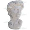 FratelliVagnoni Busto busti in cemento e marmo David Verdi Apollo arredo casa giardino statua