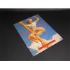 THE GREAT AMERICAN PIN-UP Portfolio - Taschen 1996