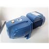 Pedrollo POMPA AUTOADESCANTE HP 0,75 KW 0,60 PEDROLLO JSWM1AX