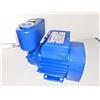 PEDROLLO ELETTROPOMPA AUTOCALVE POMPA HP 0,5 KW 0,37 PERIFERICA PKSM60 PEDROLLO