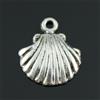 DlmBomboniere 29042 Bomboniere 24pezzi Ciondolo Ciondoli Charm Charms Conchiglia Capasanta Cam