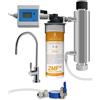 Everpure Depuratore Acqua Filtro Swan 2MFAG, Contalitri, Sterilizzatore, Testata Everpure