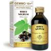 Dr Giorgini Dr. Giorgini, Ribes Nero Gemmoderivato Concentrato Liquido Analcoolico - 100 ml