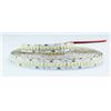 GBC Striscia Led 24v 19,4w/m Ip20 Luce Calda 3000k GBC 23023025 STRISCIA LED 24V 19,