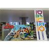 LE STRISCE DI ZAGOR N.6 - Ed. SERGIO BONELLI - SCONTO 5%