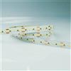 GBC Striscia Led 24v 22wm Luce Calda 3000k Ip20 GBC 23023090 Striscia Led 10mm 24v 2