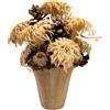 VACCHETTI FIORI SECCHI COMPOSIZIONE IN VASO COCCIO RIVESTITO FOGLIE BANANO CM 26