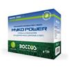 Bottos Master Green Life Myco Power Biostimolante Inoculo Micorrizico