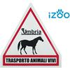 Amahorse CARTELLO TRASPORTO ANIMALI VIVI TABELLA TRASPORTO CAVALLI ANIMALI VAN