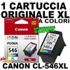 Canon CL-546 XL - cartuccia ORIGINALE XL a Colori - TS3450 TR4550 TS3350 MG3050
