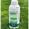 Bottos Master Green Always Biostimolante organico naturale per tappeti erbosi