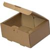 Tessera Bio Products QWCS - Scatola di carta kraft a 2 strati, 22 cm, larghezza 17,6 cm, altezza 5,5 cm, 100 pezzi