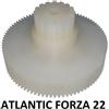 Atlantic Ingranaggio in nylon per motore affettatrice Atlantic Forza 22 m. 18-596/22