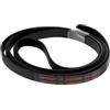 Indesit Cinghia Motore per Asciugatrice Ariston Indesit Whirlpool Ricambi 7 RIB 1965 TCU